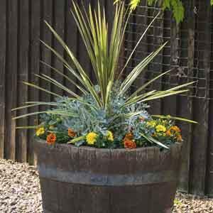 Annual Combination Planter Whiskey Barrel Planter - Plant Club | Geoponics