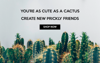 Cactus Care