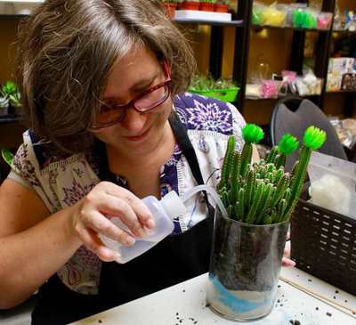 Best Time to Water Your Plants