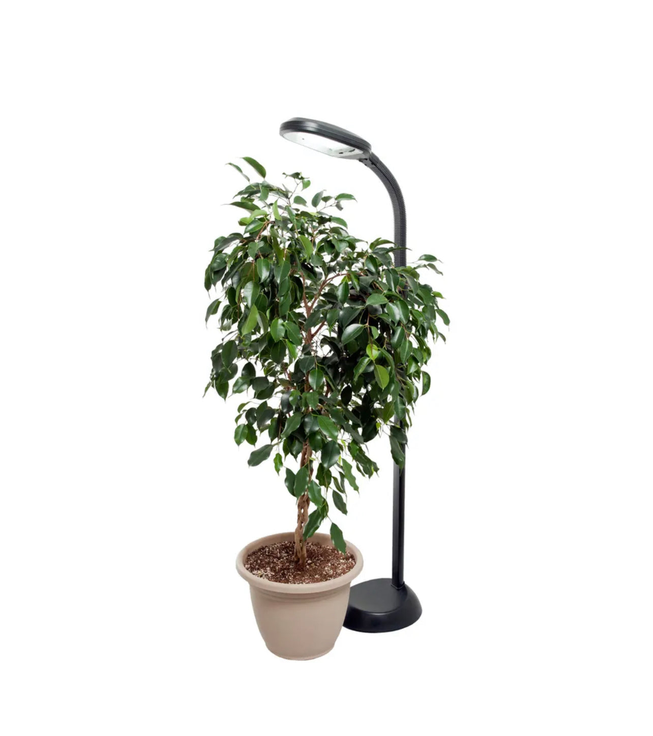 Grow light (Standing LED Plant grow Lamp/light)