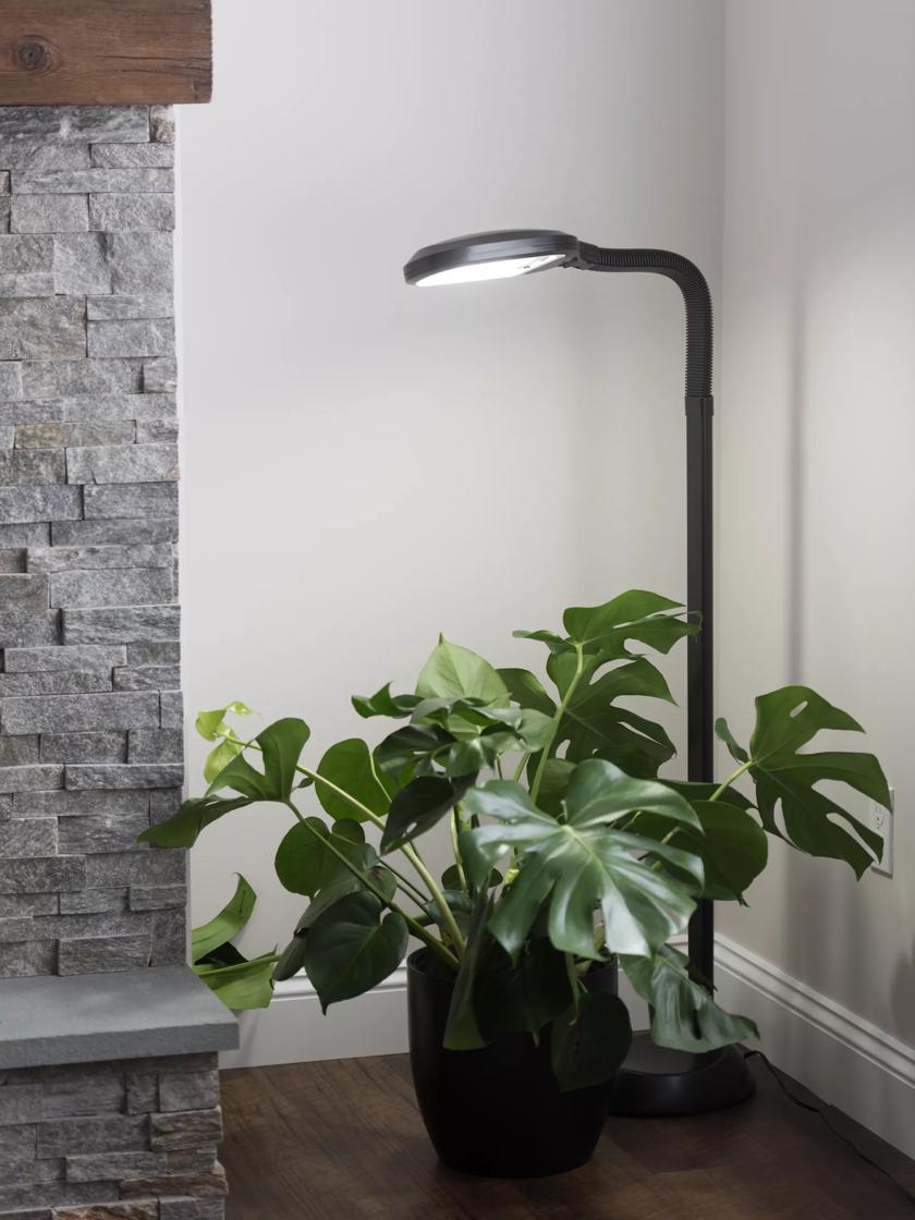 Grow light (Standing LED Plant grow Lamp/light)