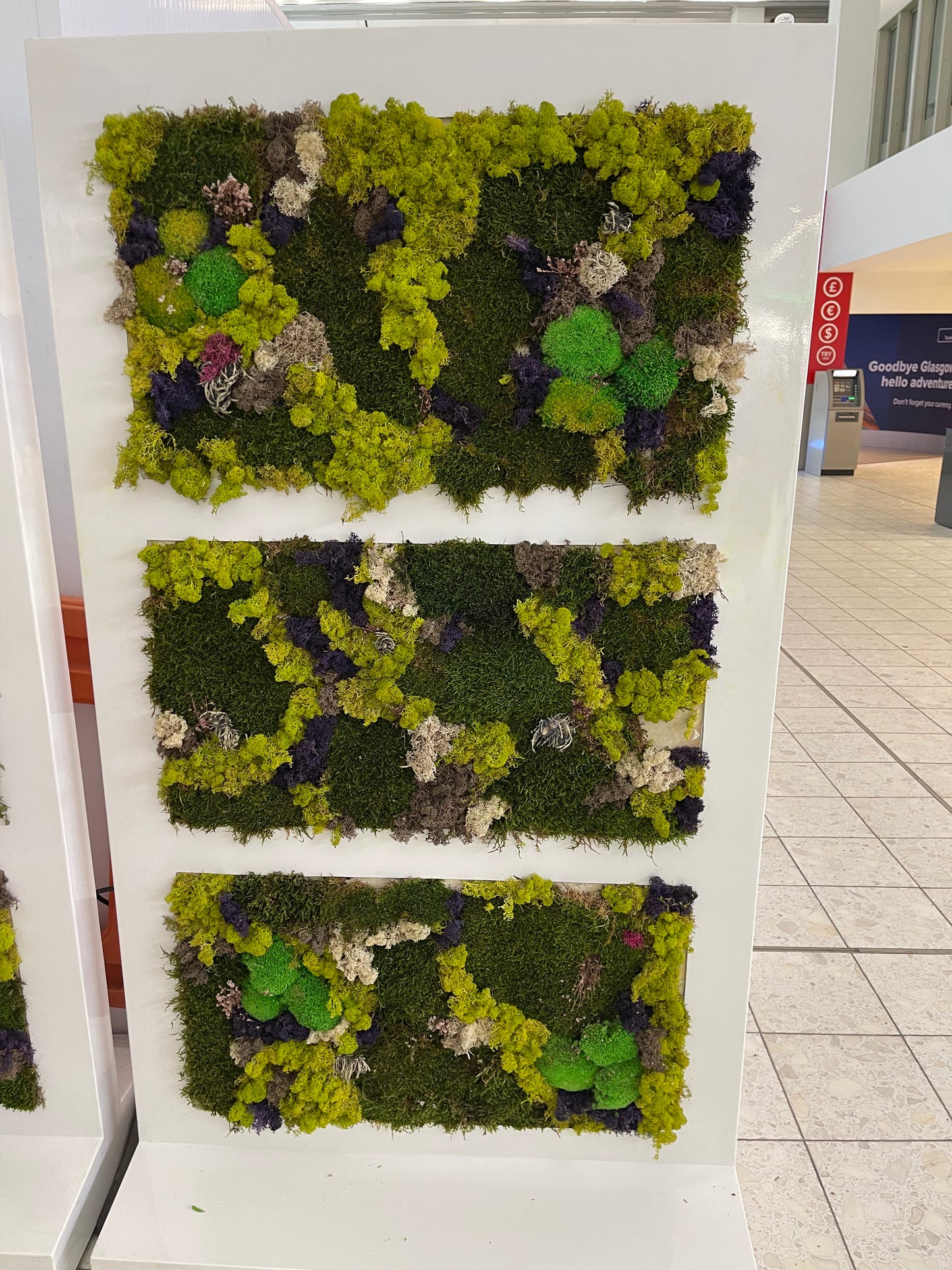 Moss wall Art