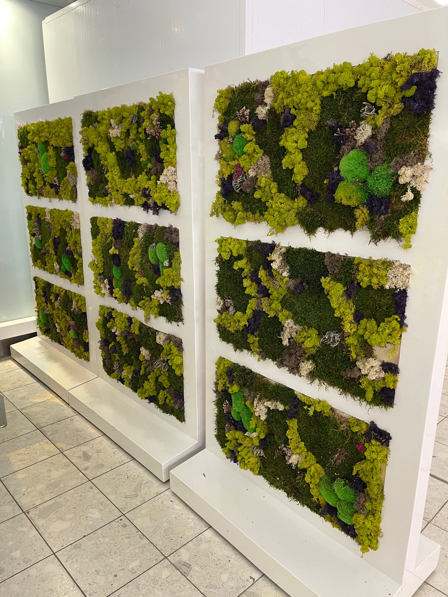 Moss wall Art