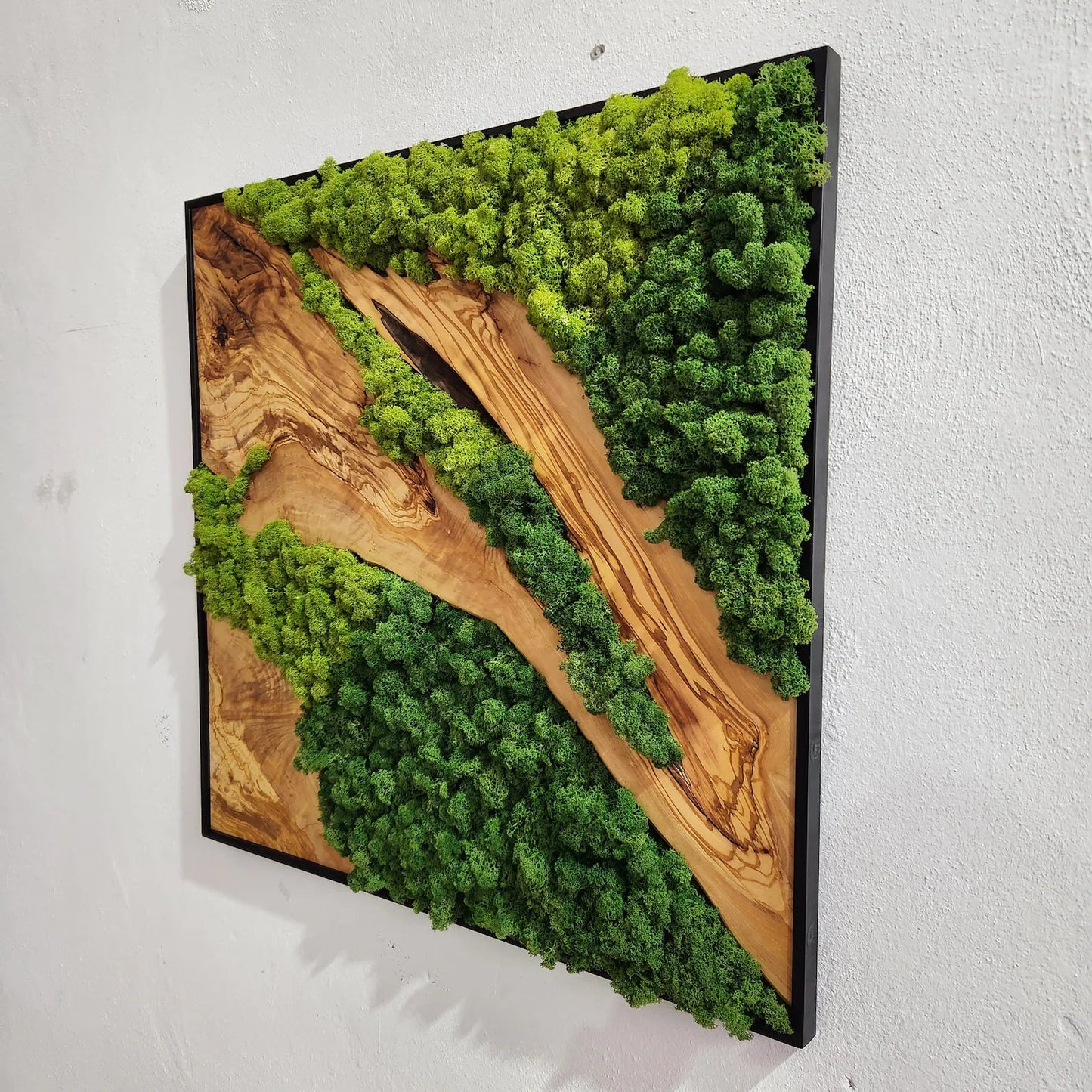 Moss wall Art