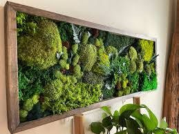 Moss wall Art