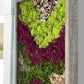 Moss wall Art