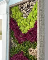 Moss wall Art