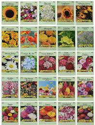 Flower/ vegetable seeds