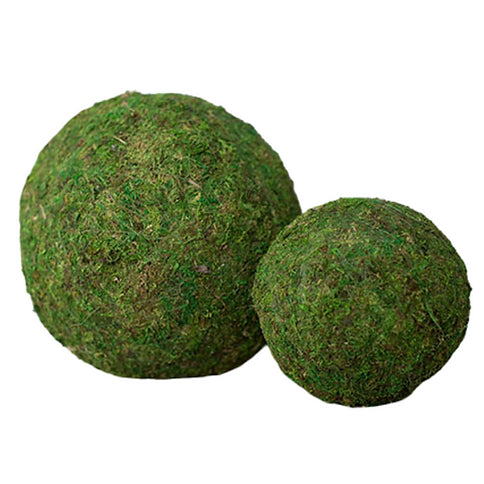 Moss Ball