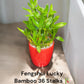 Feng Shui birthday cake 36 stems