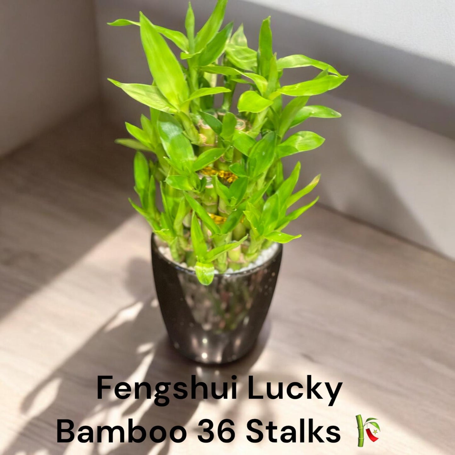 Feng Shui birthday cake 36 stems