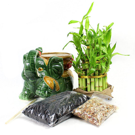 Large Elephant Bamboo Kit - Geoponics Inc