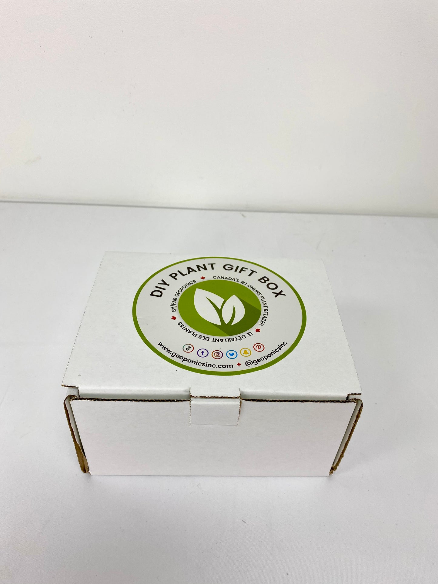 Simple Nature Bamboo DIY Box