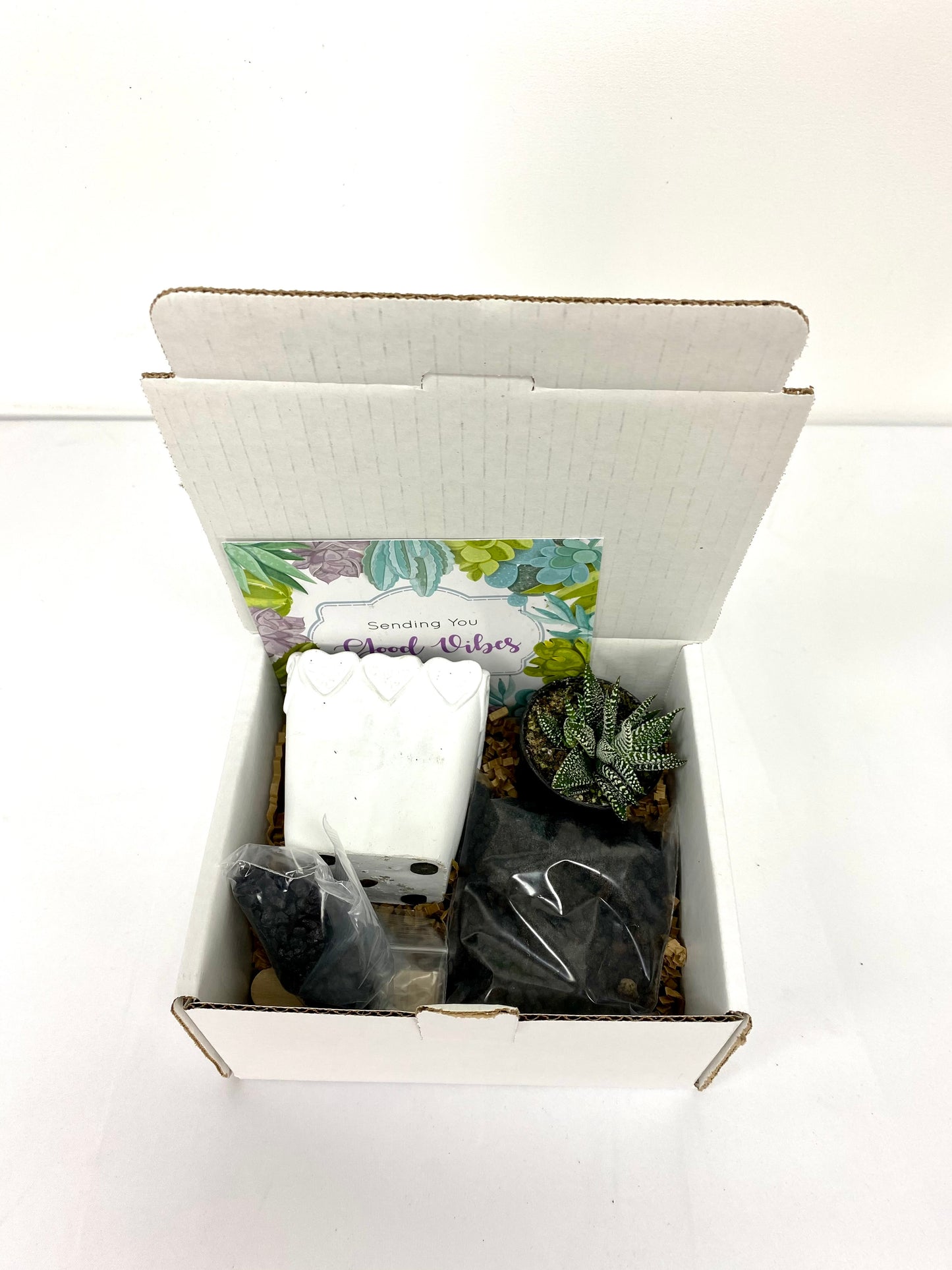 Happy Haworthia DIY Box