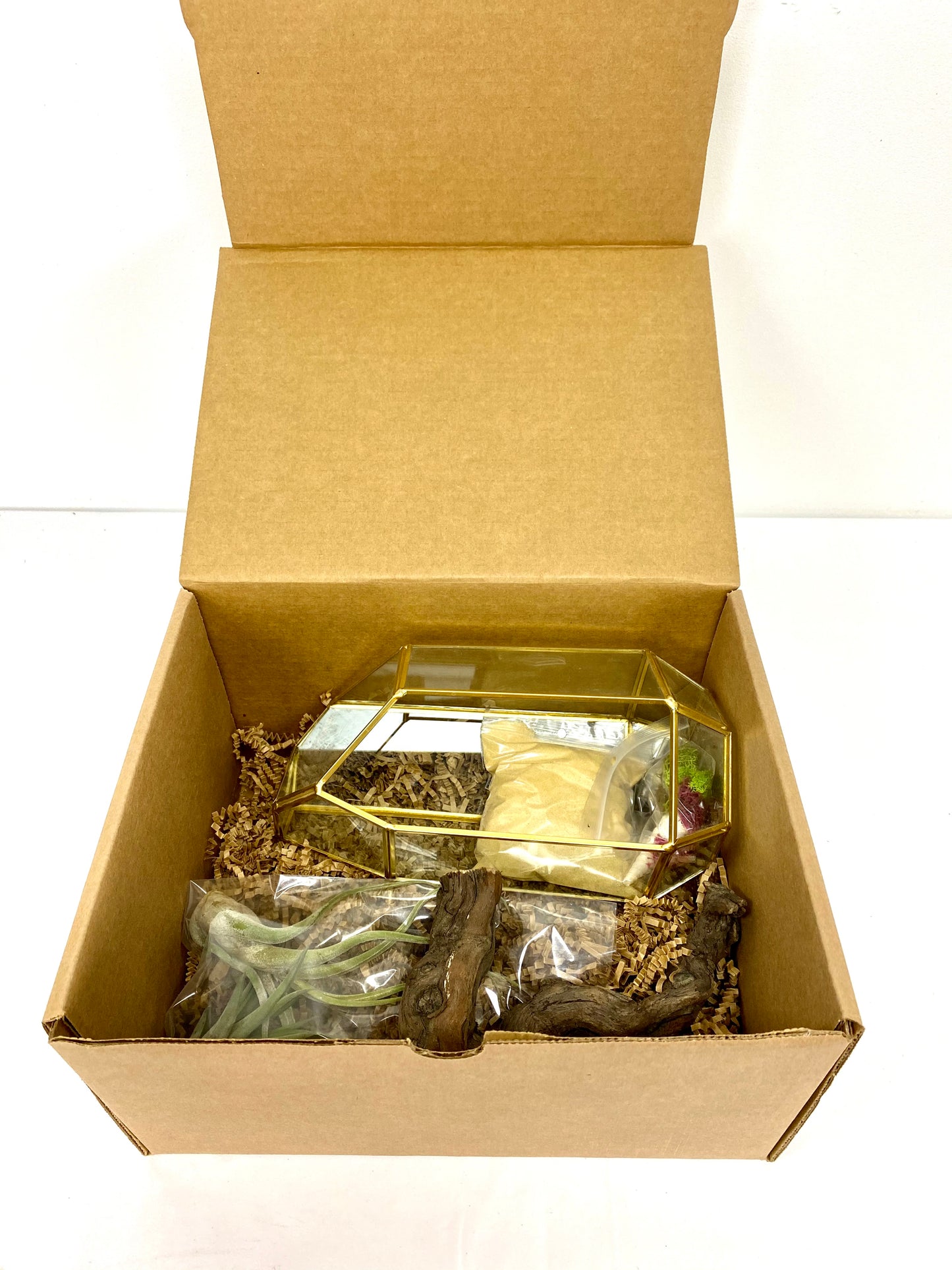 Elegant Air Plant Terrarium DIY Box