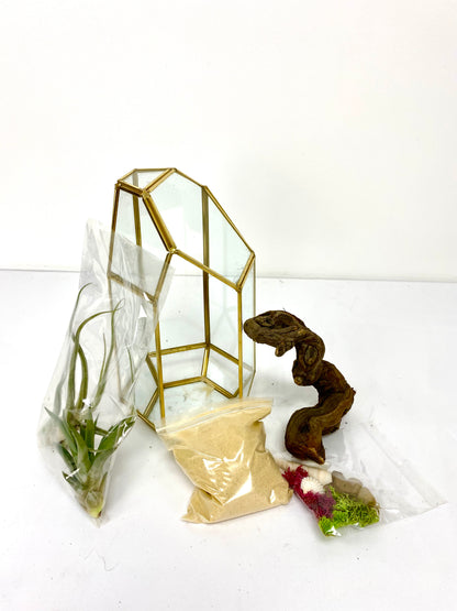 Elegant Air Plant Terrarium DIY Box