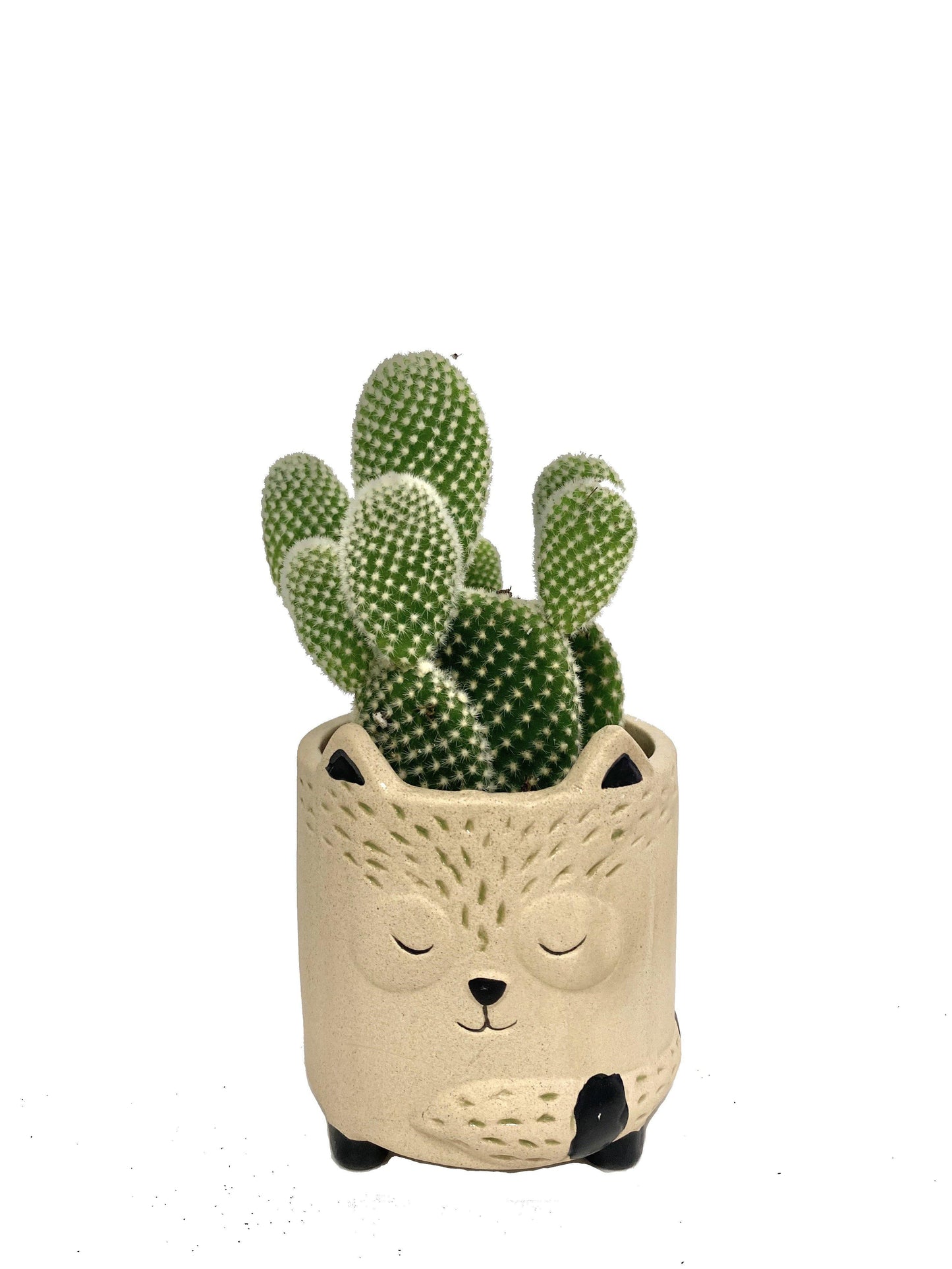 Animal Planters - Geoponics Inc