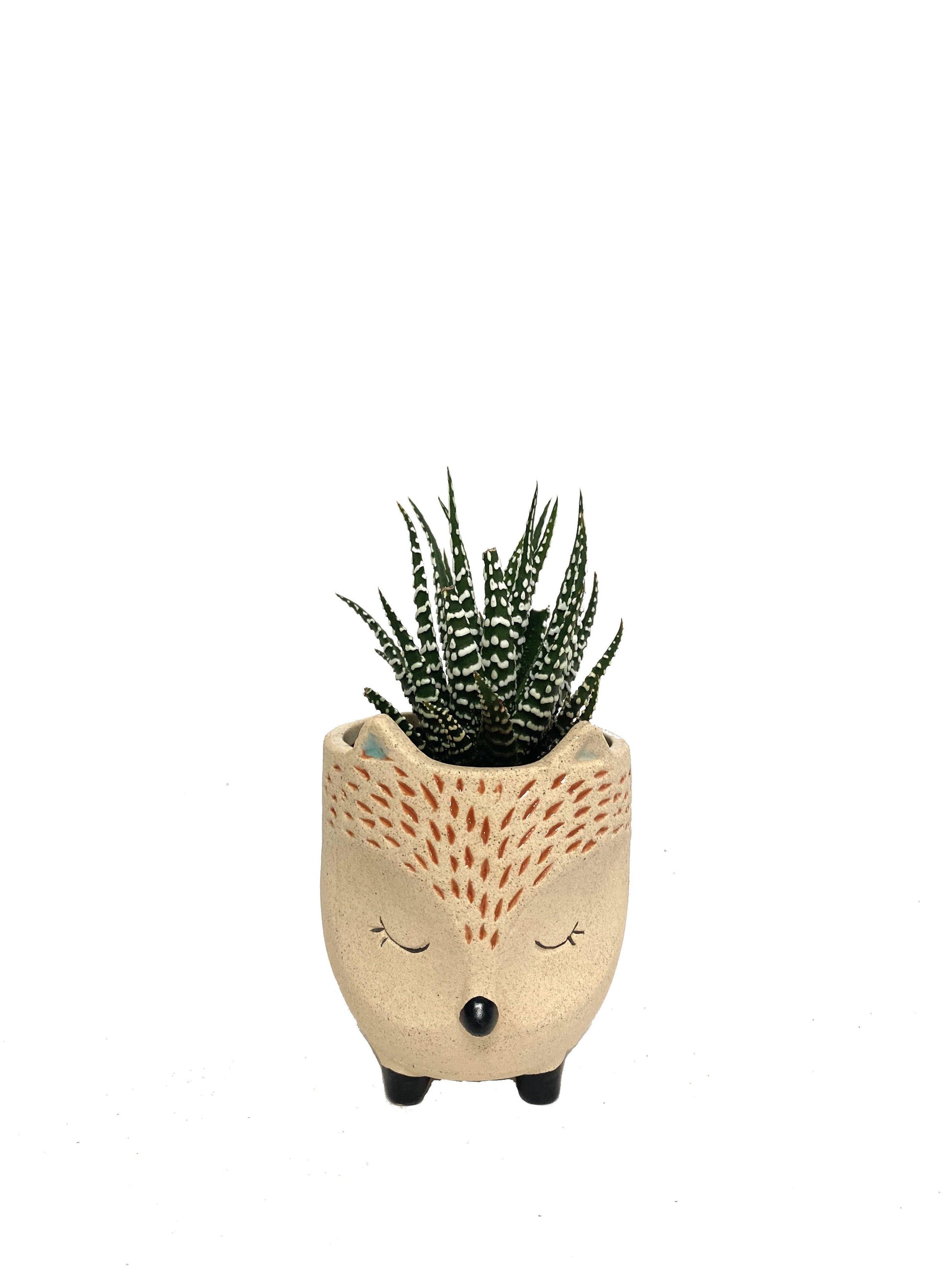 Animal Planters - Geoponics Inc