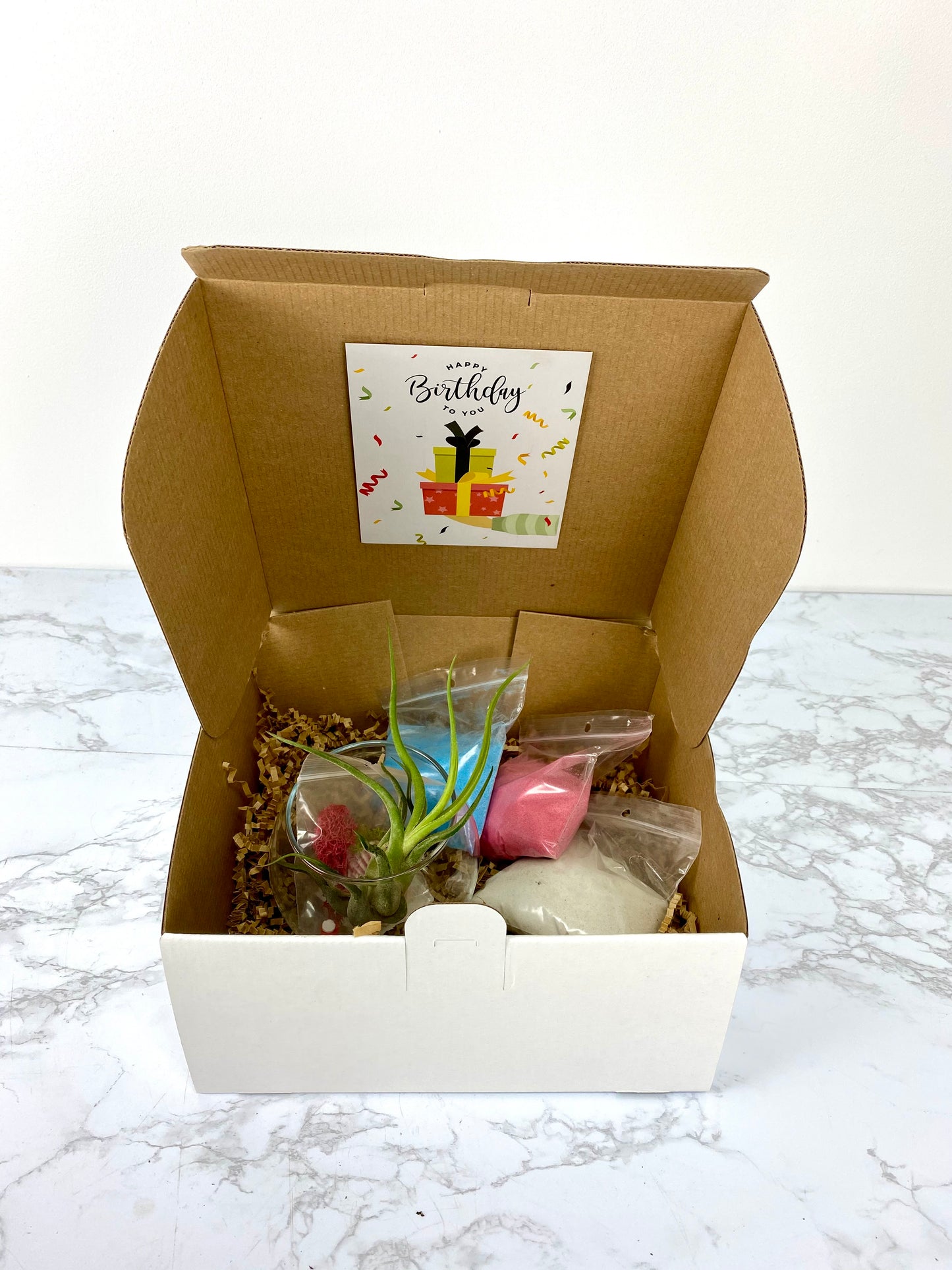 Sand Art Air Plant DIY Plant Gift Box