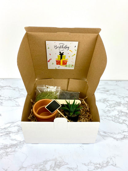 Simple Nature Succulent DIY Gift Box