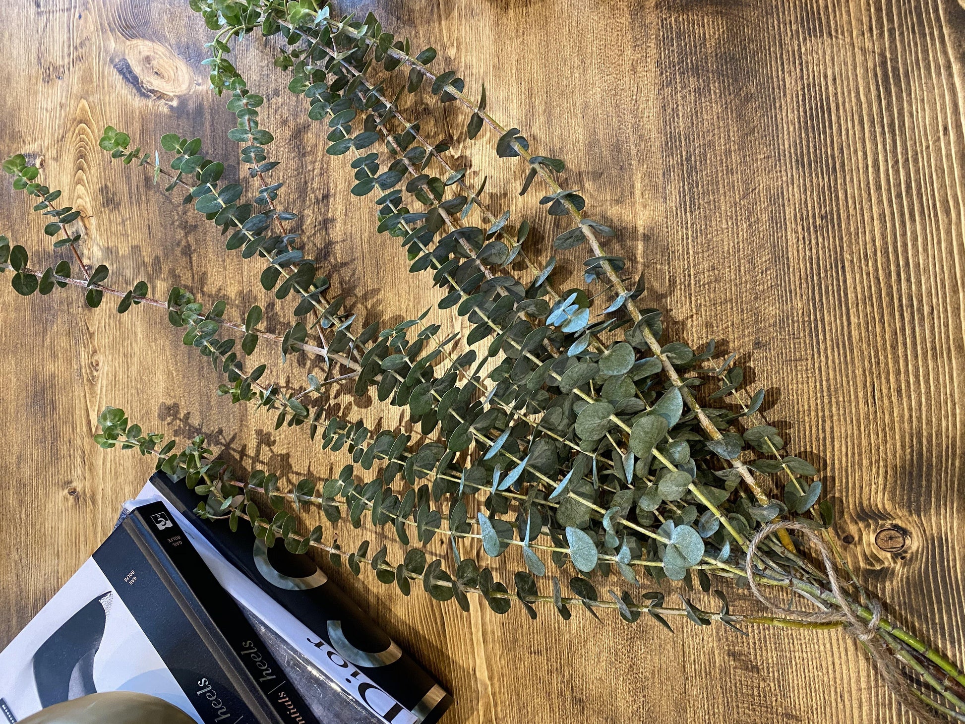 Fresh Eucalyptus (Bouquet) - Geoponics Inc