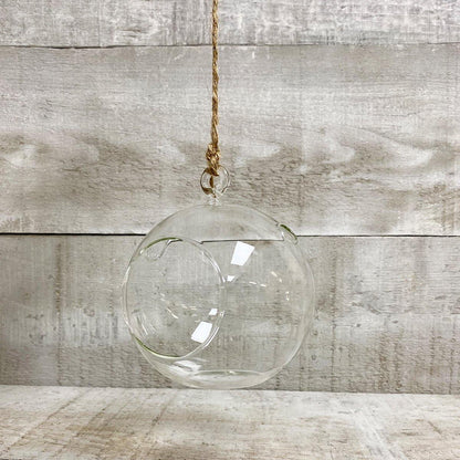 5" Glass Globe Terrarium - Plant Club | Geoponics