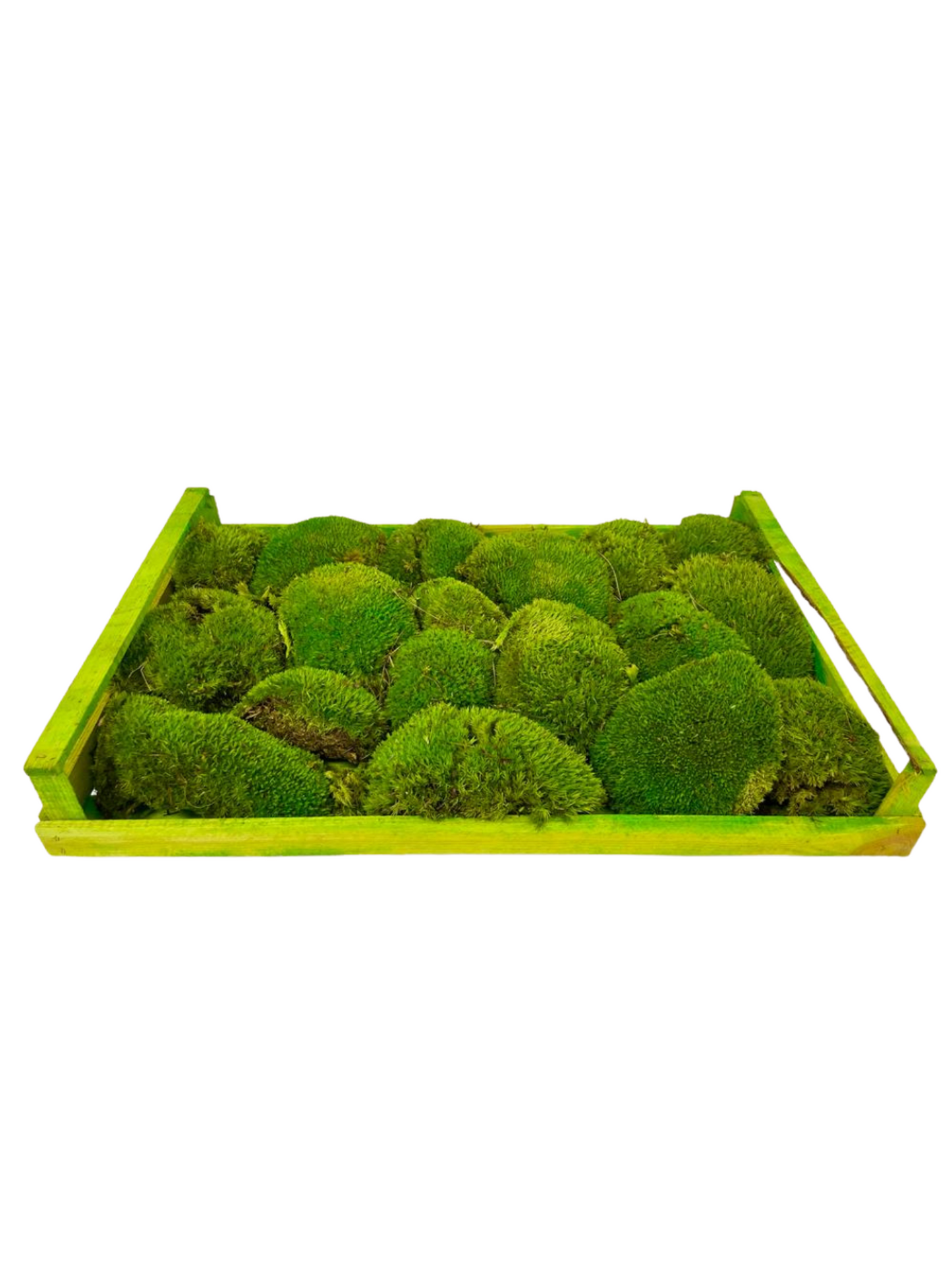 Pillow preserved moss (42 pieces)