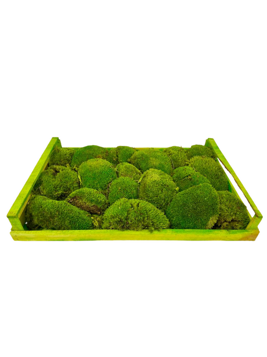 Pillow preserved moss (42 pieces)