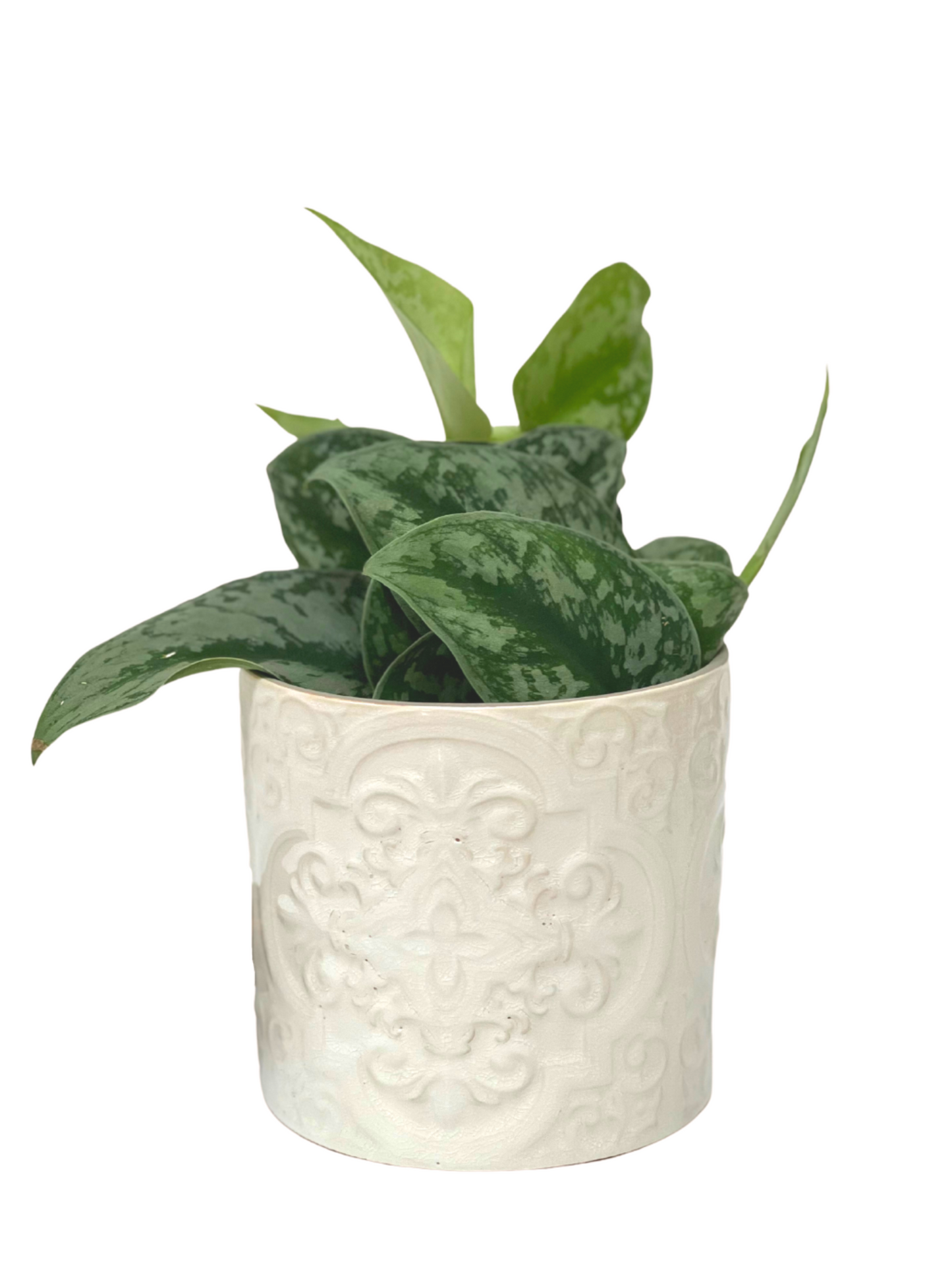 White Artisan Planter