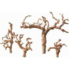 Grape wood Tree (drift)branch 3’