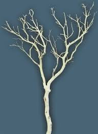 Manzanita wood Tree branches 4’