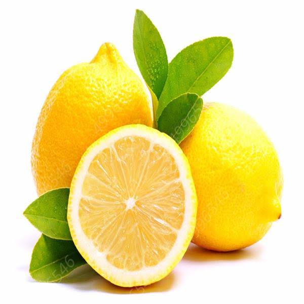 Citrus Lemon Tree