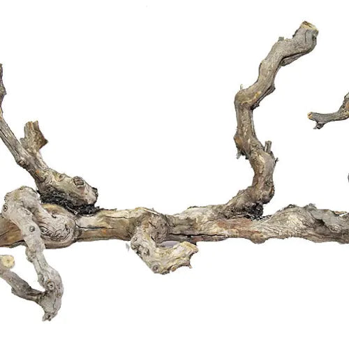 Grape wood Tree (drift)branch 3’