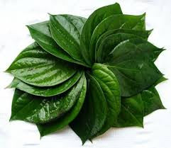 Betel (paan)