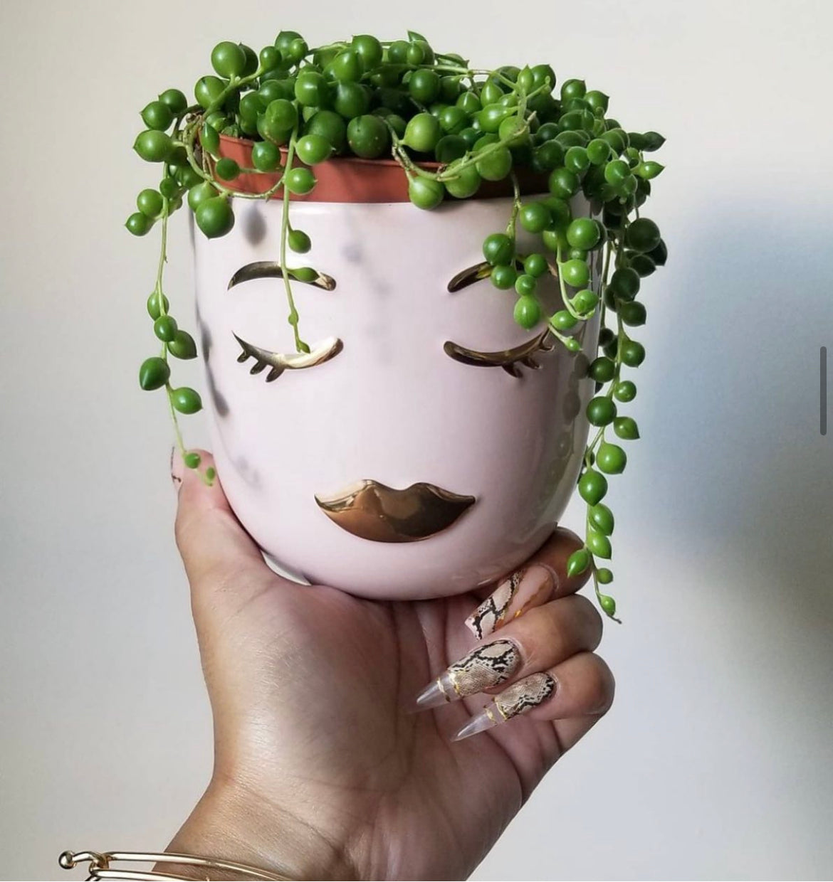 String of Pearls (pot not included)